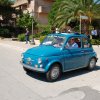 Montevago 2010 (218)